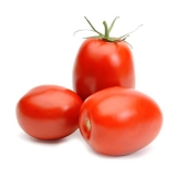 Tomate chonto